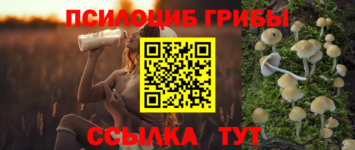 Псилоцибиновые грибы мухоморы Родники